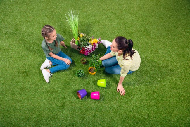 Best Artificial Grass For Arizona Heat