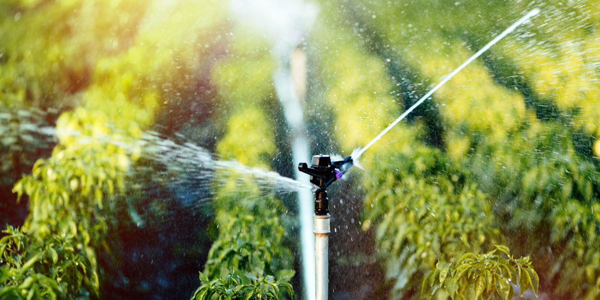 How To Find A Leak In Irrigation System How To Find A Leak In Irrigation System