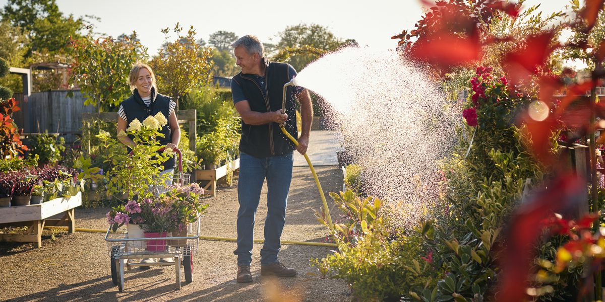 Is-Soft-Water-Bad-For-Plant