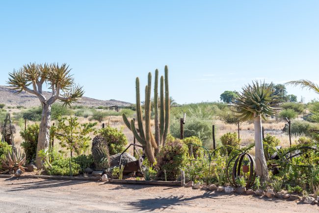 cost to xeriscape