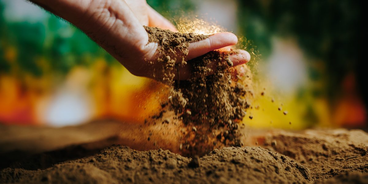 Topsoil Vs Fill Dirt