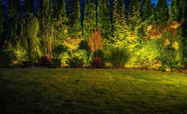 Where To Place Landscape Lighting Where To Place Landscape Lighting