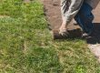 How To Prepare Ground For Artificial Turf