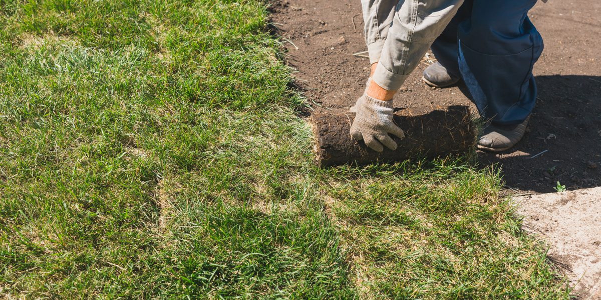 How To Prepare Ground For Artificial Turf